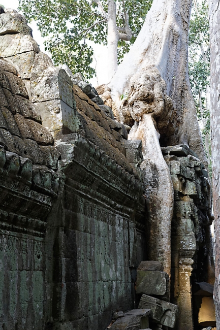 Ta Phrom et environs-135
